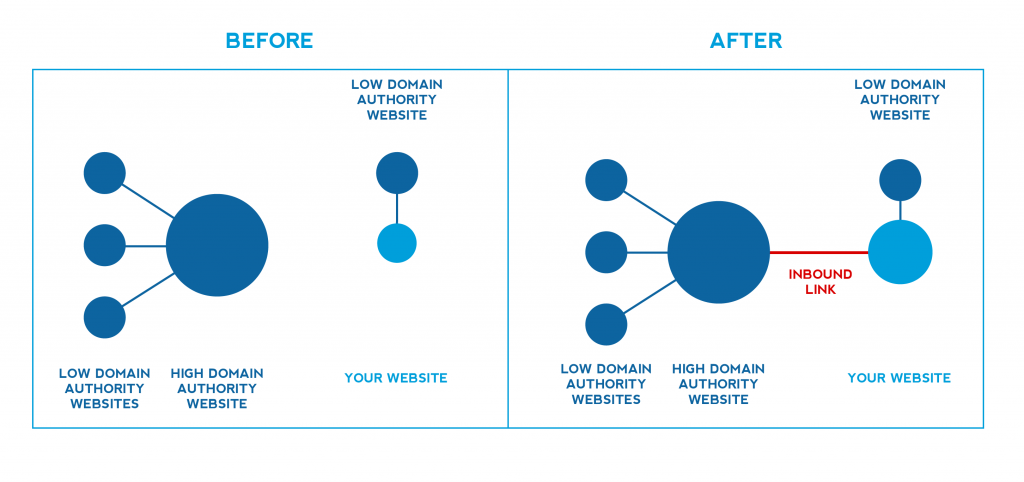 Link building improves domain authority graphice